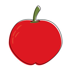 Fresh tomato vegetable,