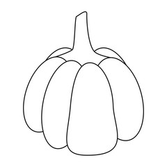 Pumpkin fresh vegetable