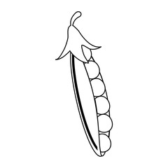 Peas fresh vegetable