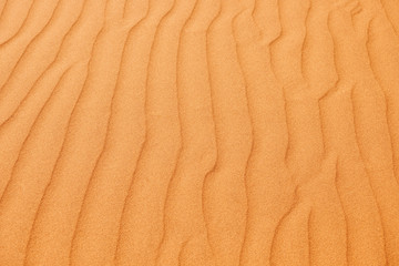 Fototapeta na wymiar Desert sand texture from Namib desert.