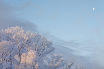 Snowy frozen landscape of sunrise on lakeside with trees
