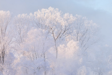 Obraz na płótnie Canvas Snowy frozen landscape of sunrise on lakeside with trees 