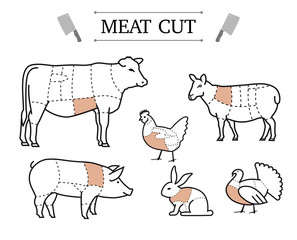 Diagram of cutting meat. Set of vector signs on white background. Ready for use in design.