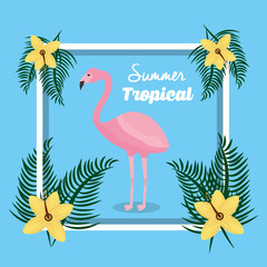 summer tropical flamingo with flowers frame decoration vector illustration