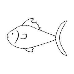 fish  vector illustration