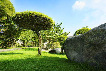 Rock garden are public park in Bangkok, Thailand.