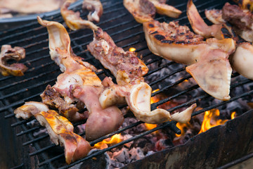 Barbecue with young pig on a grill with wooden coal