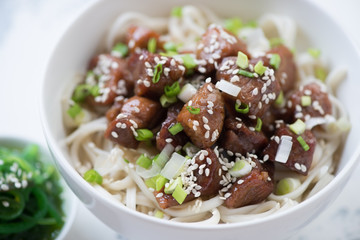 Close-up of udon noodles with pork meat in honey sauce, green onion and sesame seeds, selective focus, shallow depth of field