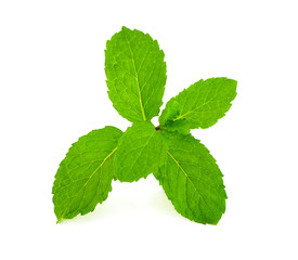 Naklejka na ściany i meble Herb, green leaves, Fresh Mint isolated on white background.