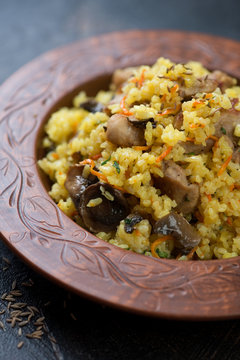 Closeup of a clay plate with pilaf, shallow depth of field, selective focus, vertical shot