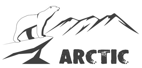 Drawing a polar bear against the background of the mountains.