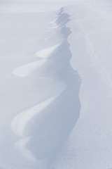 雪上の風紋