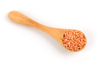 Red organic lentils