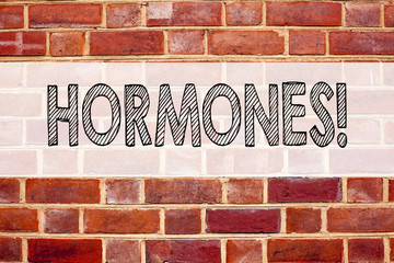 Conceptual announcement text caption inspiration showing Hormones. Business concept for Hormone Pill written on old brick background with copy space