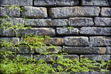 Brick wall with moss old natural texture pattern