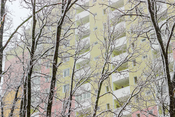 Fragment of apartment building through the snow covered trees