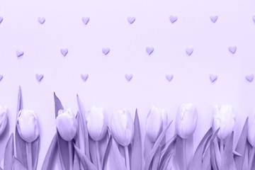 Pink tulips with pink heart sprinkles on the pink background. Flat lay, top view.  Valentines background.. Ultra violet tone, color of the year 2018
