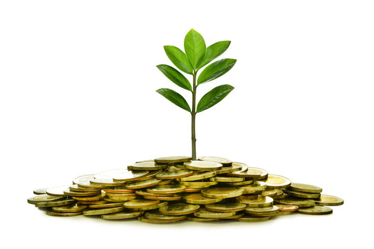 Image of pile of coins with plant on top for business, saving, growth, economic concept isolated on white background
