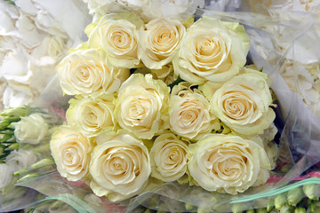 Cut flowers, bunch of white roses