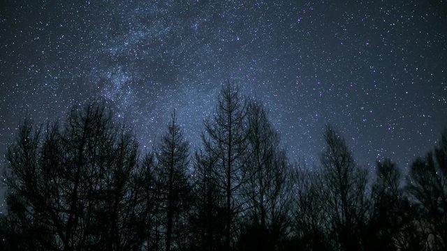 みずがき自然公園冬の星空Timelapse