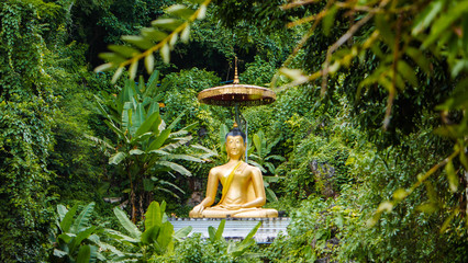 golden buddha statue with big umbrella