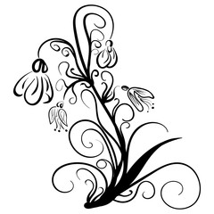 Snowdrops vector Doodle style Floral Snowdrops.