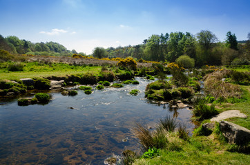 Fototapeta na wymiar The Dart River In Early Spring Season At Postbridge, Dartmoor National Park, England