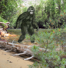 Yeti, bigfoot walking on the water.