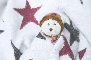 Blurred winter concept of white teddy bear in design blanket with star pattern