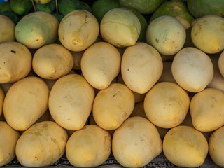 mango ready to sell