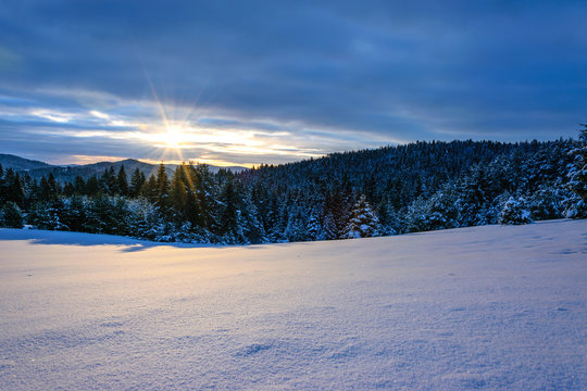 Beautiful panorama of winter mountains and forest at sunrise in the morning.