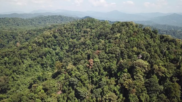 Rainforest mountain landscape from aerial drone 