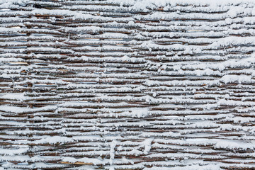 Fototapeta premium The texture of the fence of wicker, covered with snow.
