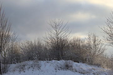 Winter kalt