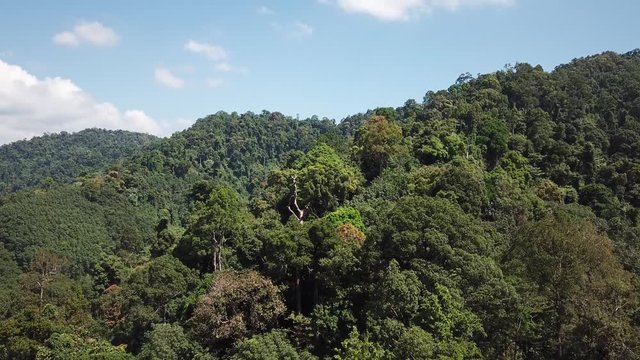 Rainforest mountain landscape from aerial drone 