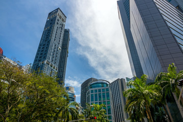 Palms and Skyscrapers on Singapore Street