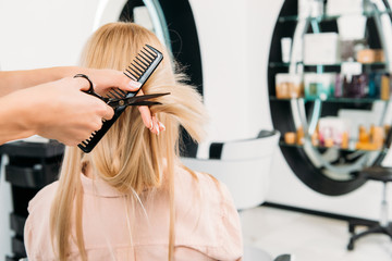 cropped image of hairdresser trimming ends of hair in salon - obrazy, fototapety, plakaty