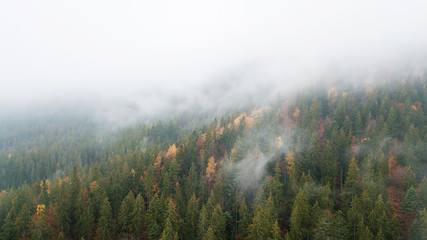 Aerial view of the mountains with a morning fog