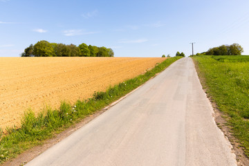 Fototapeta na wymiar Weg zwischen Feldern im Mai