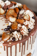 Chocolate Cake with Fudge Drizzled Icing and Curls and gingerbread
