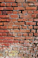 Brick wall texture background