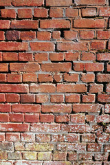 Brick wall texture background