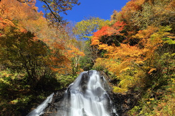 秋晴れの開運出世の滝　Good luck career waterfall / Sakata, Yamagata, Japan