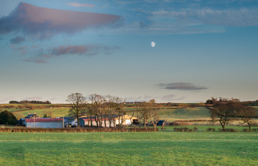 Fototapeta na wymiar Scottish Fields with farm Buildings in the distance and a small moon.