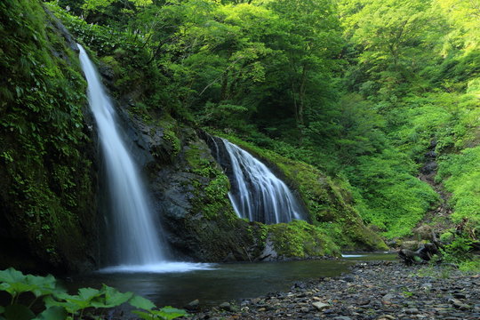 初夏の十二滝　Junitaki(Twelve Falls) in early summer / Sakata, yamagata, Japan