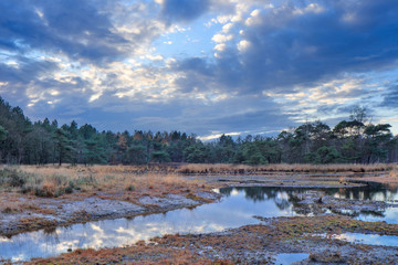 Untouched wetland at twilight with a dramatic sky, Nieuwkerk, Belgium