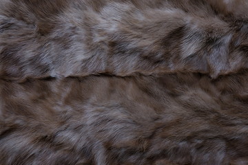 fur