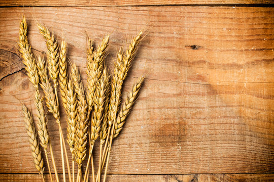 Trigo espigas sobre fondo de madera r&uacute;stico. Vista superior. Copy space