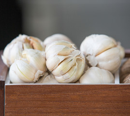 Frexh organic garlic cloves and garlic bulb