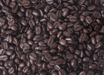 close up arabica coffee beans for background.